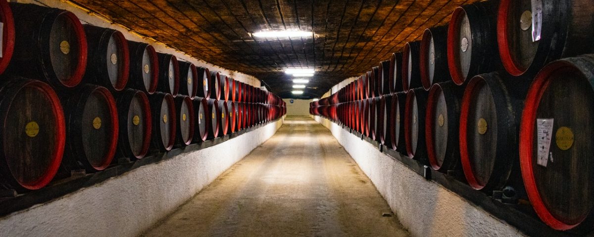 Miti da sfatare sul vino: come abbinare il vino al cibo e imparare a bere bene